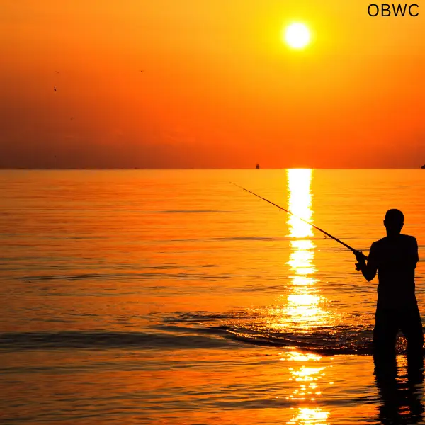 Ocean Breeze Window Cleaning Service Area Mornington Peninsula depicting man fishing at a beach at sunset