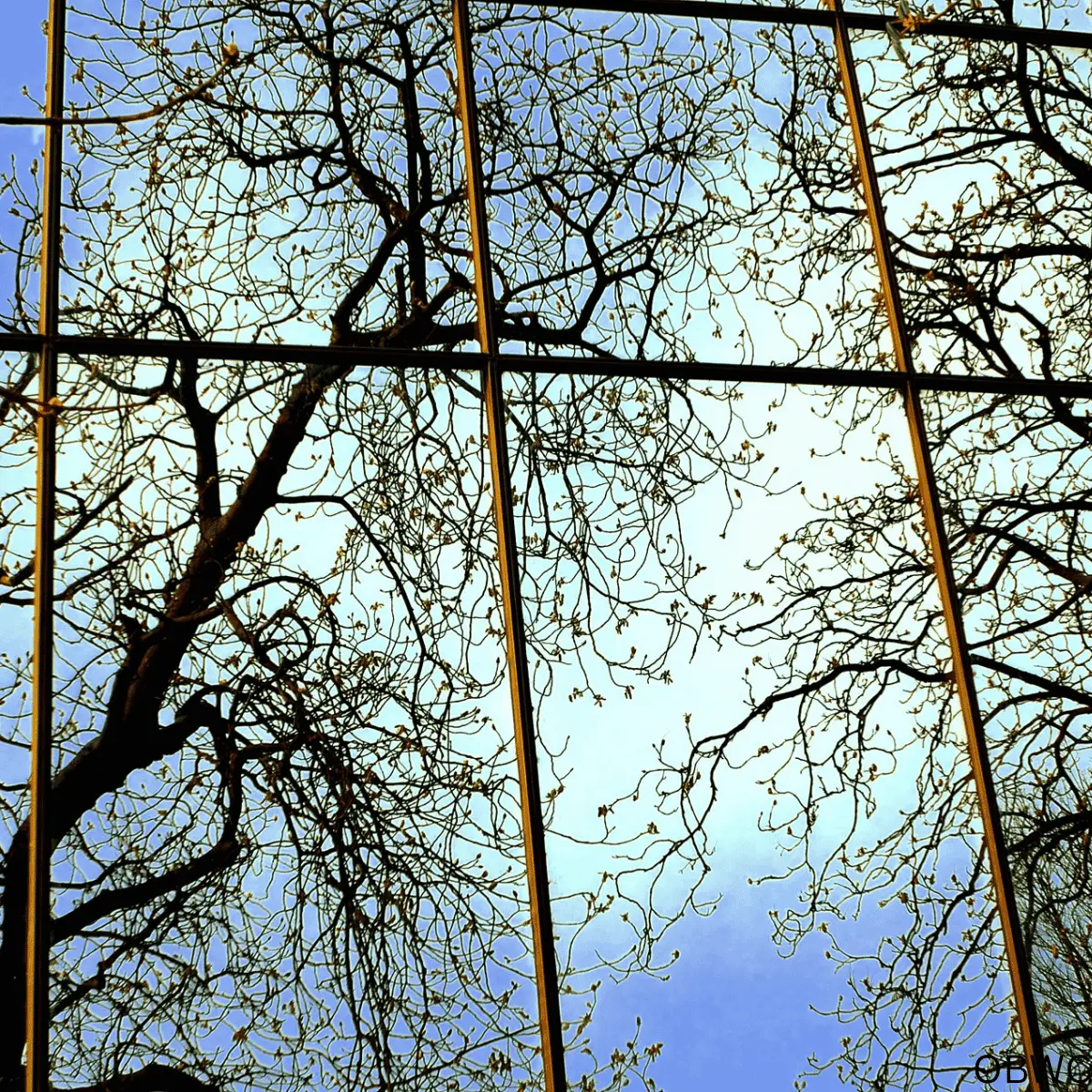 Ocean Breeze Window Cleaning I cleaning windows in winter