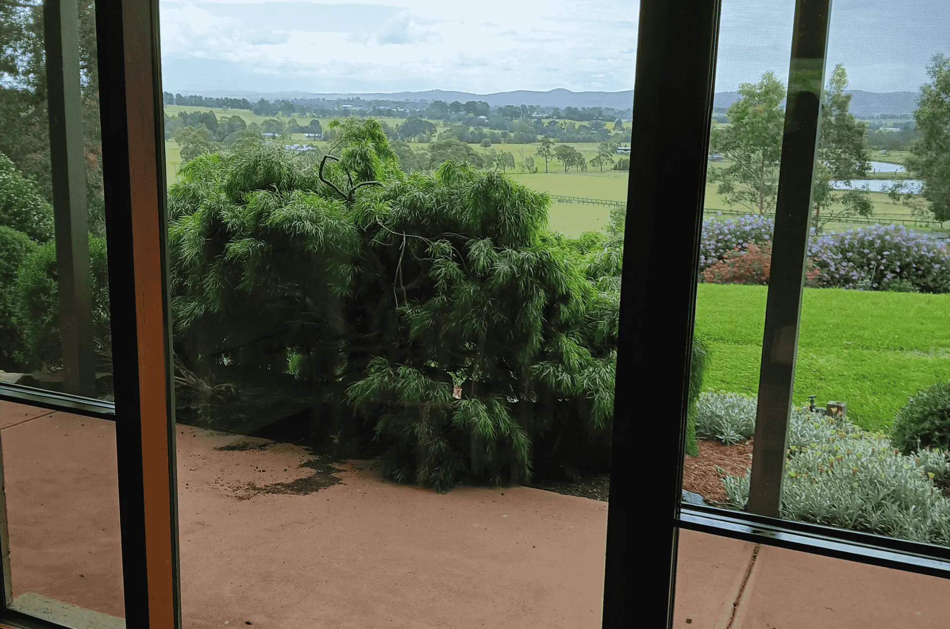 Rear glass door and window cleaned overlooking farmland