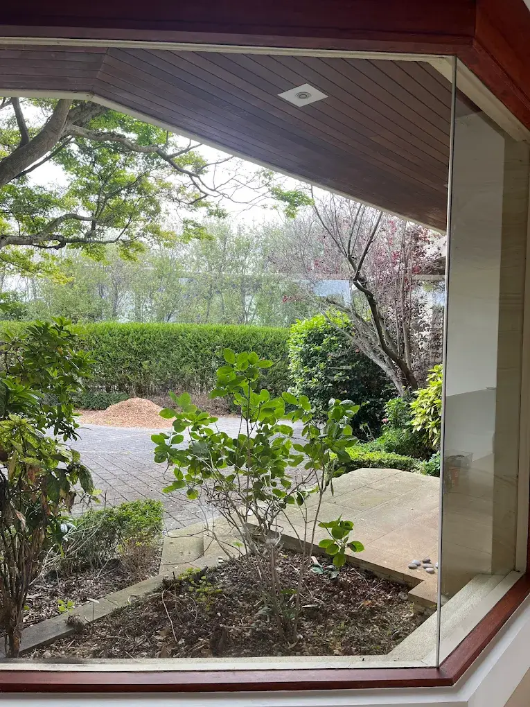 Clean windows overlooking garden