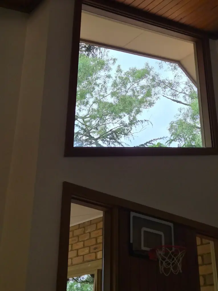Clean windows overlooking trees